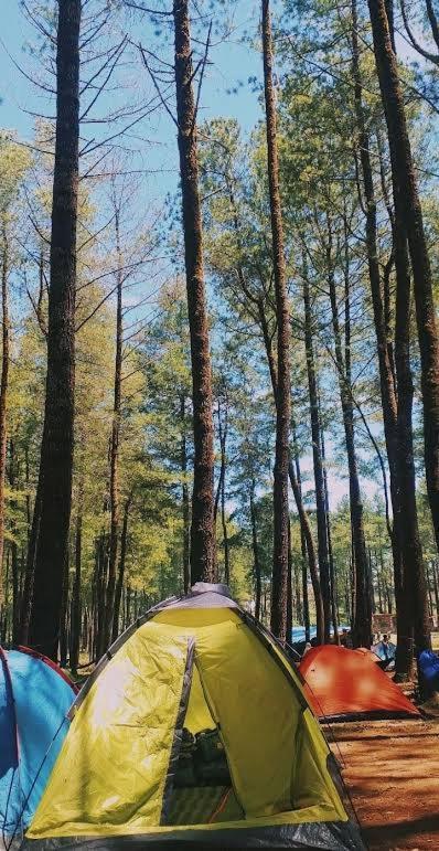 Tapian Ratu Camp Real Bukittinggi Exteriör bild