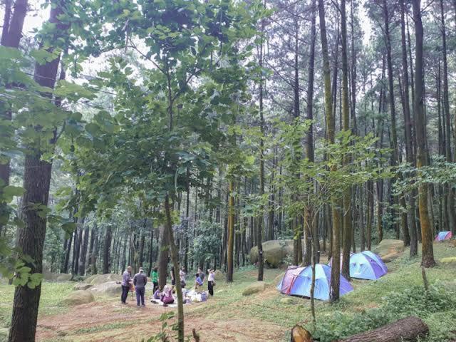 Tapian Ratu Camp Real Bukittinggi Exteriör bild